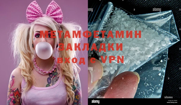 шишки Верея