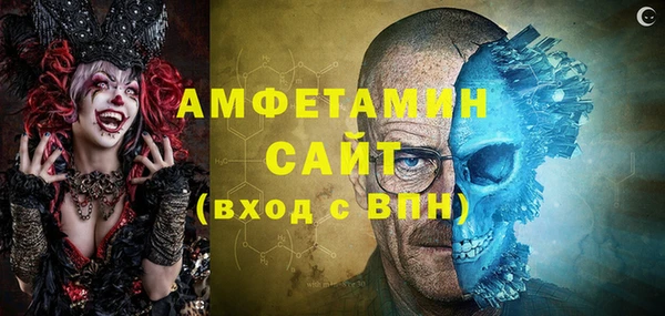 шишки Верея
