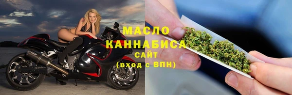 шишки Верея