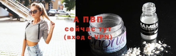 шишки Верея