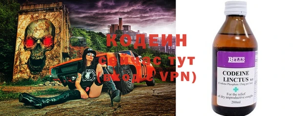 шишки Верея