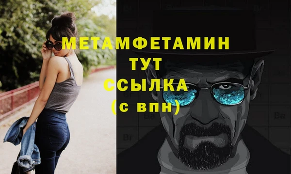 шишки Верея