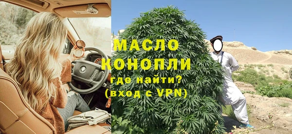 шишки Верея