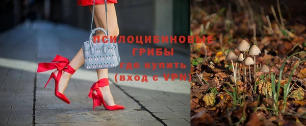 ECSTASY Верхний Тагил